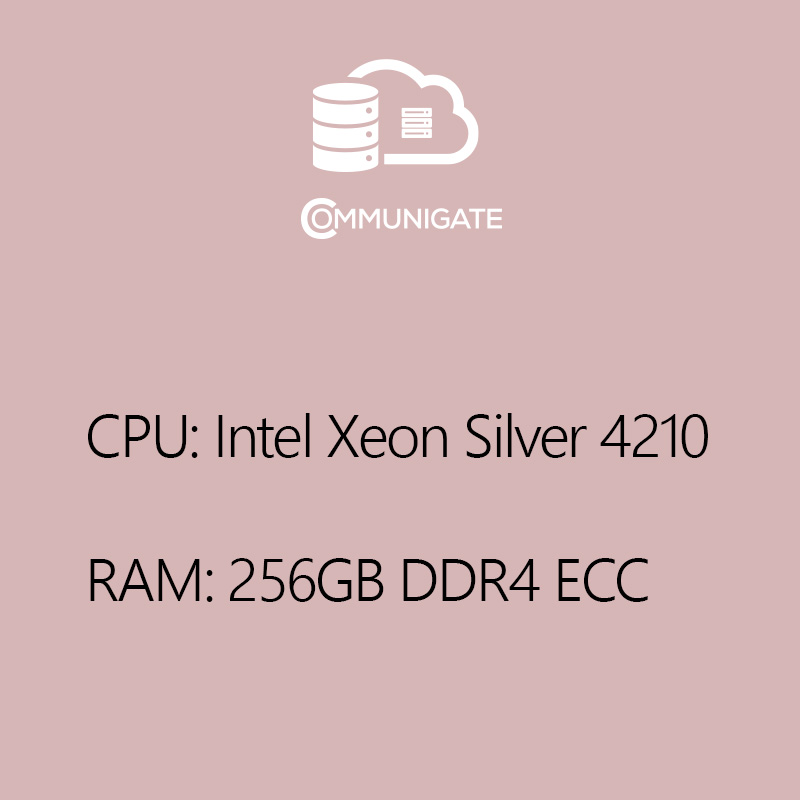 CPU: Xeon Silver 4210R, RAM: 256 GB DDR4 ECC