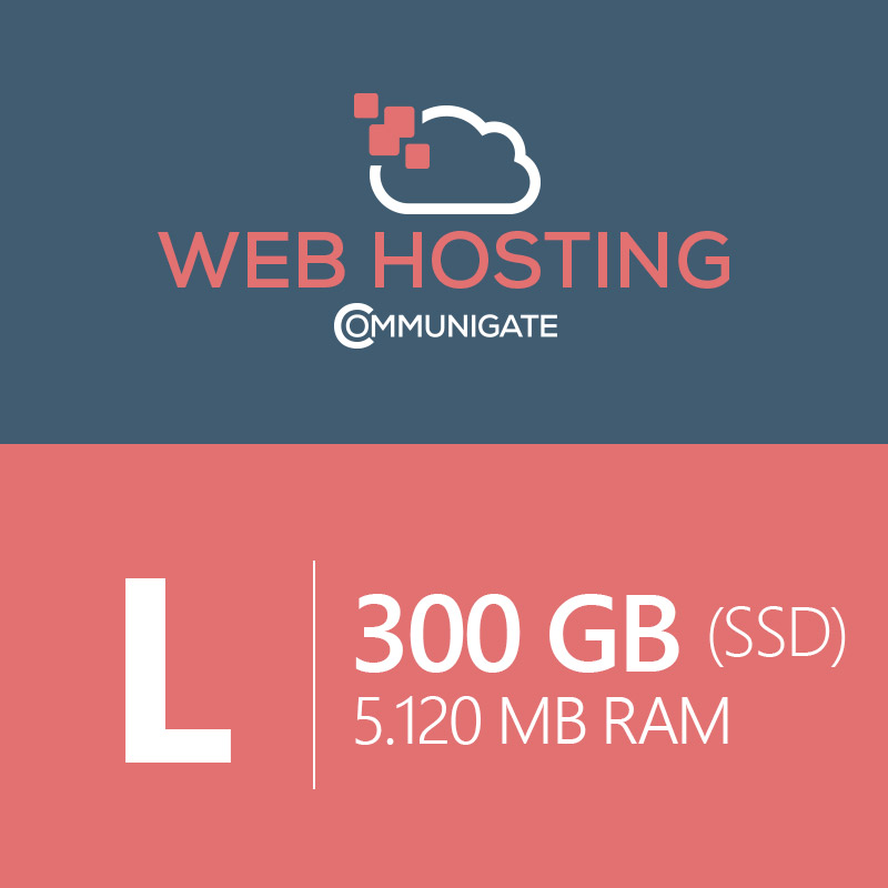 Web Hosting L 3.0 - 300 GB (SSD)